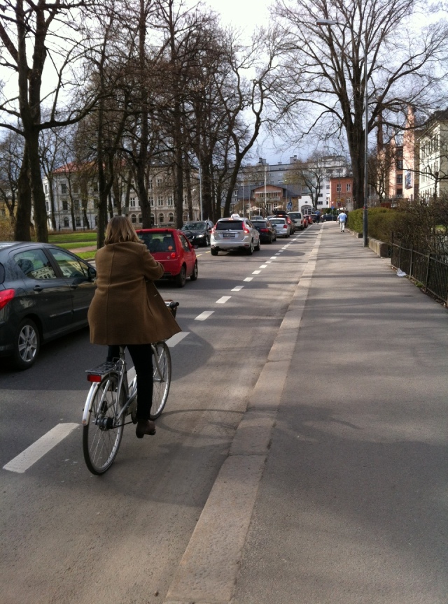 Bicycle lanes in the city centre.