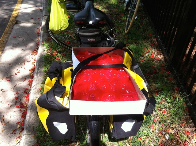 ... is emptied and fruit placed delicately in the panniers with bags for cushioning.