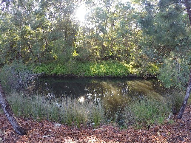 South Tweed Bushland 
