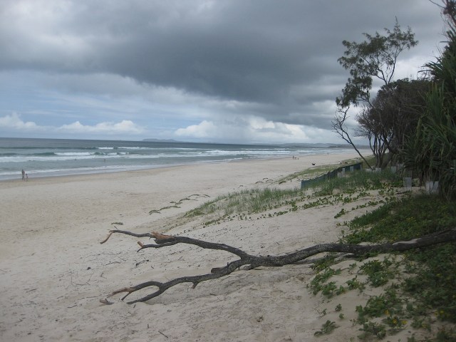 20160104 17 new brighton IMG_1109