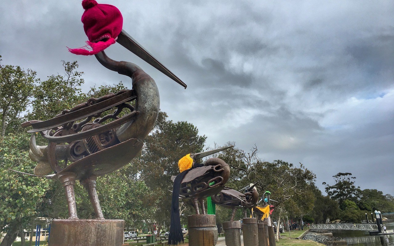 Yarnbombed pelicans photographed by Gail Rehbein