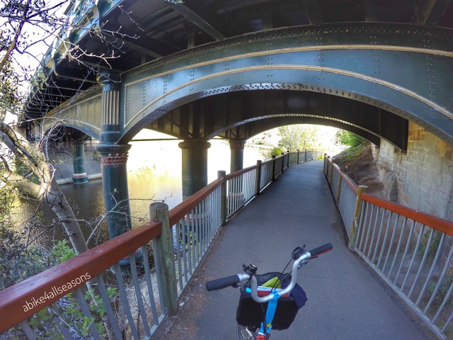 DCIM100GOPROGOPR4310.