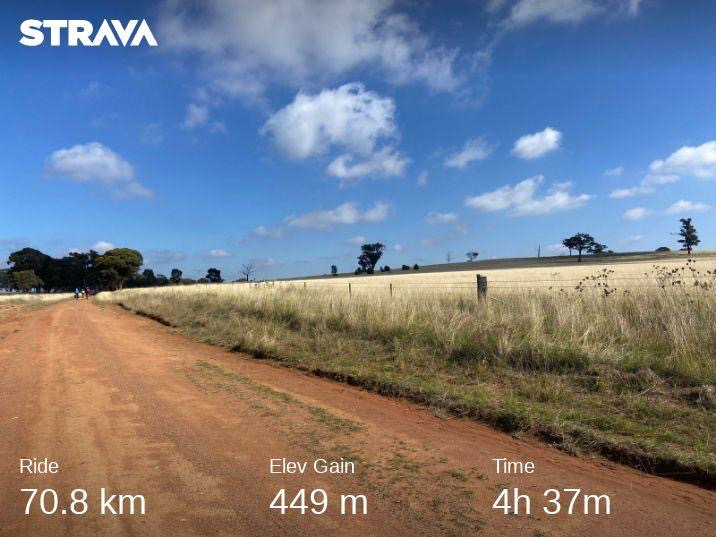 Day 3: Dunedoo to Mendooran